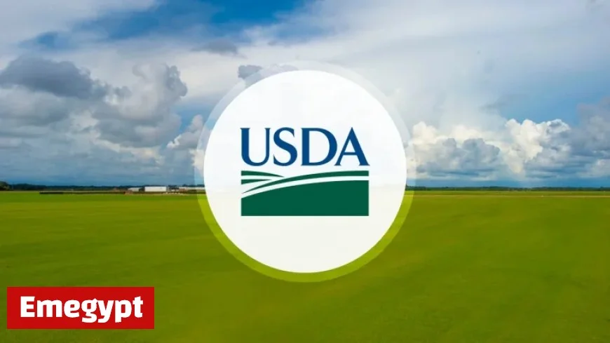 USDA Unveils $531 Million Grant to Aid Georgia Farmers in Recovering Agricultural Losses