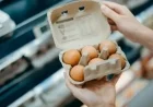 FDA Elevates Egg Recall to Highest Severity Level: Find Out if You Are Impacted