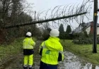 Storm Éowyn Review Advises Cancelling Public Events Amid Status Orange Wind Warnings
