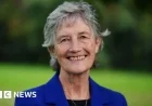 Catherine Connolly Denounces Disgraceful Deep-Fake AI Video