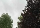 Las Vegas Area Braces for Showers and Thunderstorms