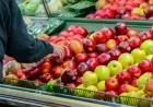 Trump Administration Refuses Contingency Fund for November Food Stamp Benefits