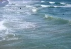 Florida Residents Urged to Avoid Water Due to Safety Concerns