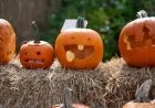 Maximize Your Bye Weekend with These Exciting Activities