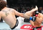 UFC 321 Highlights: Quillan Salkilld Delivers Jaw-Dropping Head Kick KO to Nasrat Haqparast