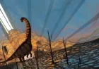 Study Reveals Dinosaurs Thrived in North America Pre-Asteroid Extinction