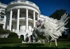 Thanksgiving Weather Forecast Across All States by Farmers’ Almanac