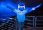 Niagara Falls to Illuminate Blue for Blue Jays This Weekend