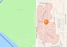 Wind Topples Tree onto Fauntleroy Power Line in West Seattle