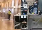 Two Arrested in $100M Louvre Jewel Heist; One Caught Fleeing at Airport