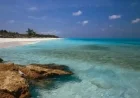 Bahamas Authorities Arrest Eight Americans for High-Powered Weapons Cache
