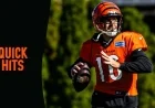 Joe Flacco, Chase, and Higgins Aim to Propel Bengals to 4-4