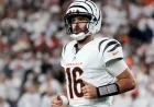Joe Flacco Injury Update: Bengals QB Status for Week 8 Game