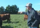 Dane County Farmer Responds to U.S.-Argentina Beef Agreement