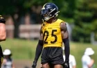 Steelers’ Star Defender Injured Severely in Match Against Packers