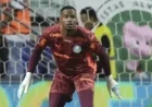 Carlos Miguel shines as hero for Palmeiras earning fan praise after draw against Cruzeiro