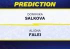 Dominika Salkova vs. Aliona Falei: WTA Jiujiang 2025 Predictions & Odds