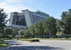 Third Fatality Hits Disney World Amid Two-Week Tragedy Spate