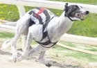 Greyhound Movie Release Date Officially Announced