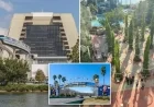 Disney World Staff Shield Views Amid Third Death This Month, Witnesses Report