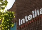 Intellia Halts Late-Stage CRISPR Trials Due to Safety Concerns