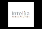 Intellia Therapeutics Halts MAGNITUDE Trials After Adverse Event Report