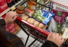 Trump Administration Halts Federal Food Aid Distribution Starting November 1