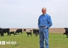 Trump’s Plans: Will They Reduce Surging US Beef Prices?