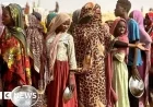 UN Urges Safe Passage for Civilians in Conflict-Stricken El-Fasher