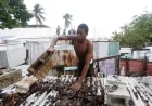 Jamaica Braces for Catastrophic Hurricane Melissa, Already Leaving Three Dead