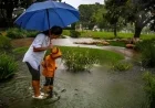 Record Rainfall Floods Boca Raton Airport, Forcing Overnight Closure