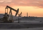 Oil Executives Forecast 2026 Price Dip Amid Permian Basin Production Surge