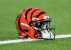 Bengals Cut DT Mike Pennel in Trio of Roster Changes