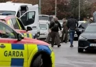Five-Hour Standoff in Co Meath Leads to Detention of Young Man by Gardaí