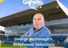 Discover George McDonagh’s Top Greyhound Picks for the Weekend