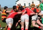 Regionalization planned for lower tiers of rugby’s All-Ireland League for enhanced local play