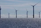 Kennedy Orders CDC to Investigate Offshore Wind Farms’ Potential Harms, Bloomberg Reports