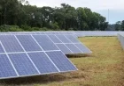 Georgia Leads Southern Solar Growth, Report Reveals