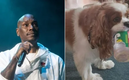 Fast and Furious Star Tyrese Gibson May Be Arrested After Dogs Allegedly Attack Neighbor’s Pet