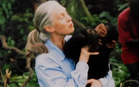 Renowned Chimpanzee Researcher and Animal Advocate Jane Goodall Passes Away at Age 91