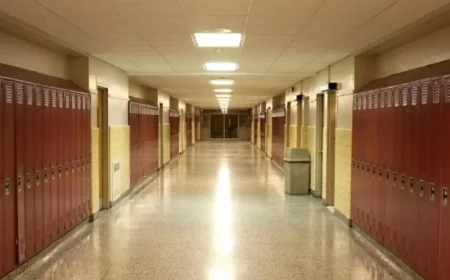 Opinion Explore Ways to Show Gratitude to Local Custodians This Week