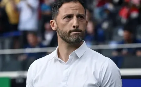 Fenerbahce vs Nice Preview: Predictions, Team News, and Lineup Insights