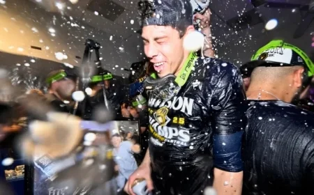 Complete 2025 Brewers Playoff Schedule: MLB Postseason Games and Bracket Details