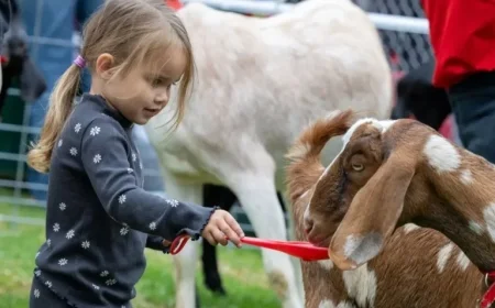 Experience the 53rd Annual Manhattan Beach Hometown Fair This Weekend