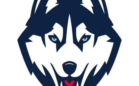 Latest Updates and Exciting News About UConn Huskies