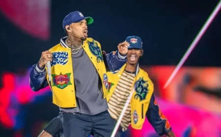 Chris Brown Memphis Concert Canceled Everything You Need to Know