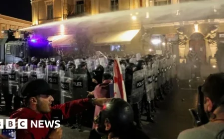 Protesters in Georgia Attempt to Storm Tbilisi Presidential Palace