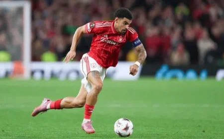 Watch Newcastle United vs Nottingham Forest Live Stream: Premier League Action and TV Channel Guide