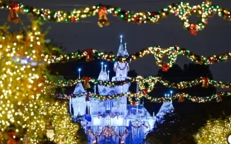 Discover New Winter Disney Discounts: Save at Walt Disney World and Aulani This Season