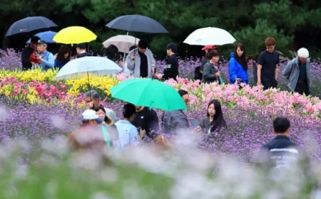 As Chuseok Holiday Ends Scattered Drizzles Persist Across the Nation